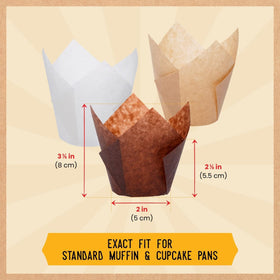 Boxed packaging preserves shape and freshness between bakes