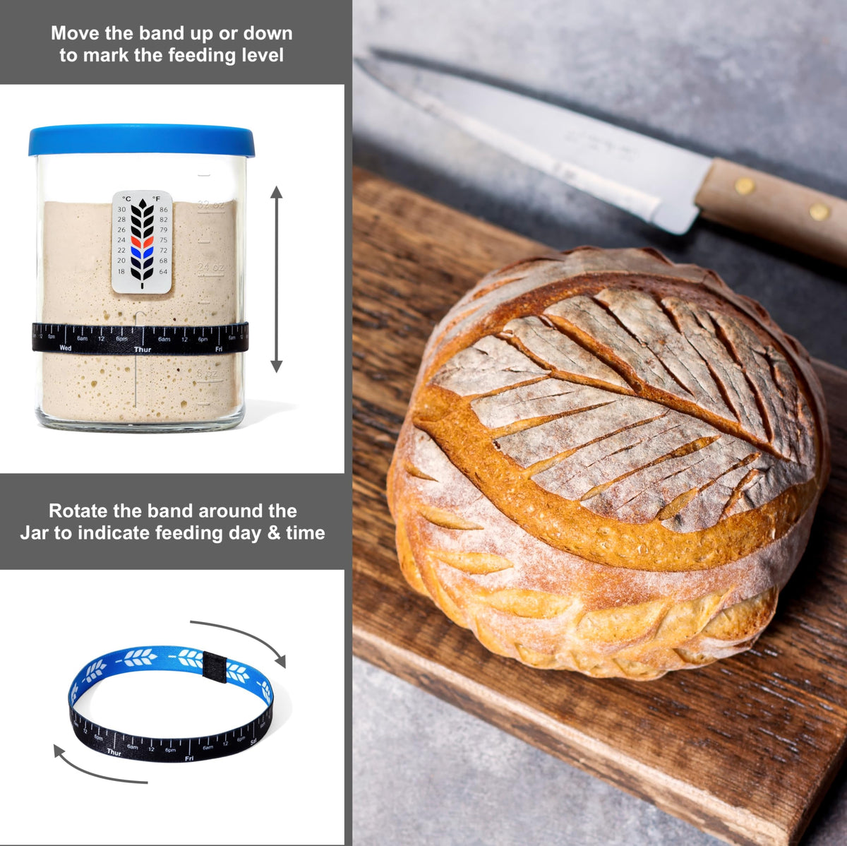 BALCI elastic feeding band tracks feeding days and times