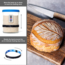 BALCI elastic feeding band tracks feeding days and times
