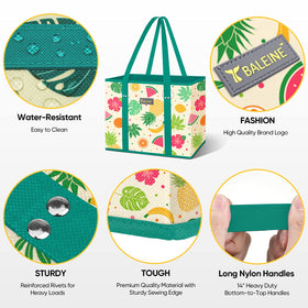 BALEINE large tote 10x11x13 fits cart or trunk easily.