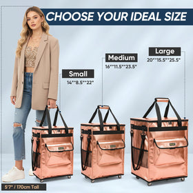 BALEINE bags on wheels detachable handle for versatile carrying
