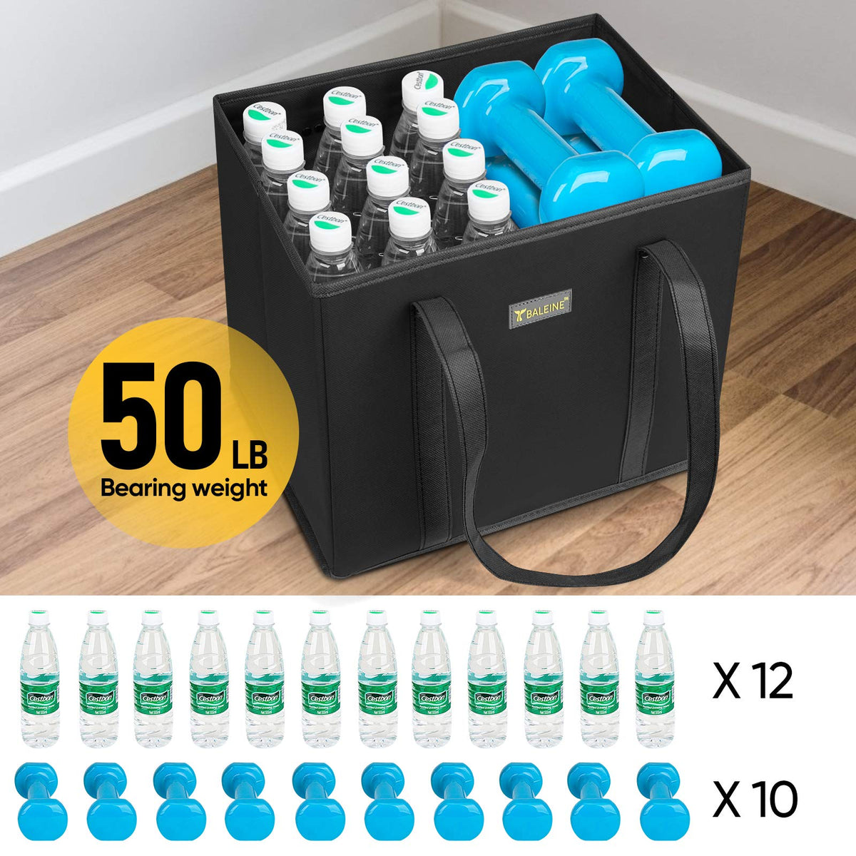 BALEINE spacious 10x11x13 bags fit carts and trunks