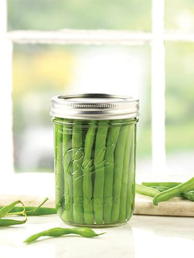 Ball 16oz jar perfect for pickling batches and refrigerator storage.