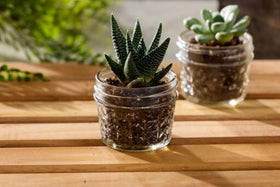 Ball 4oz regular-mouth jar close-up, BPA-free and USA-made