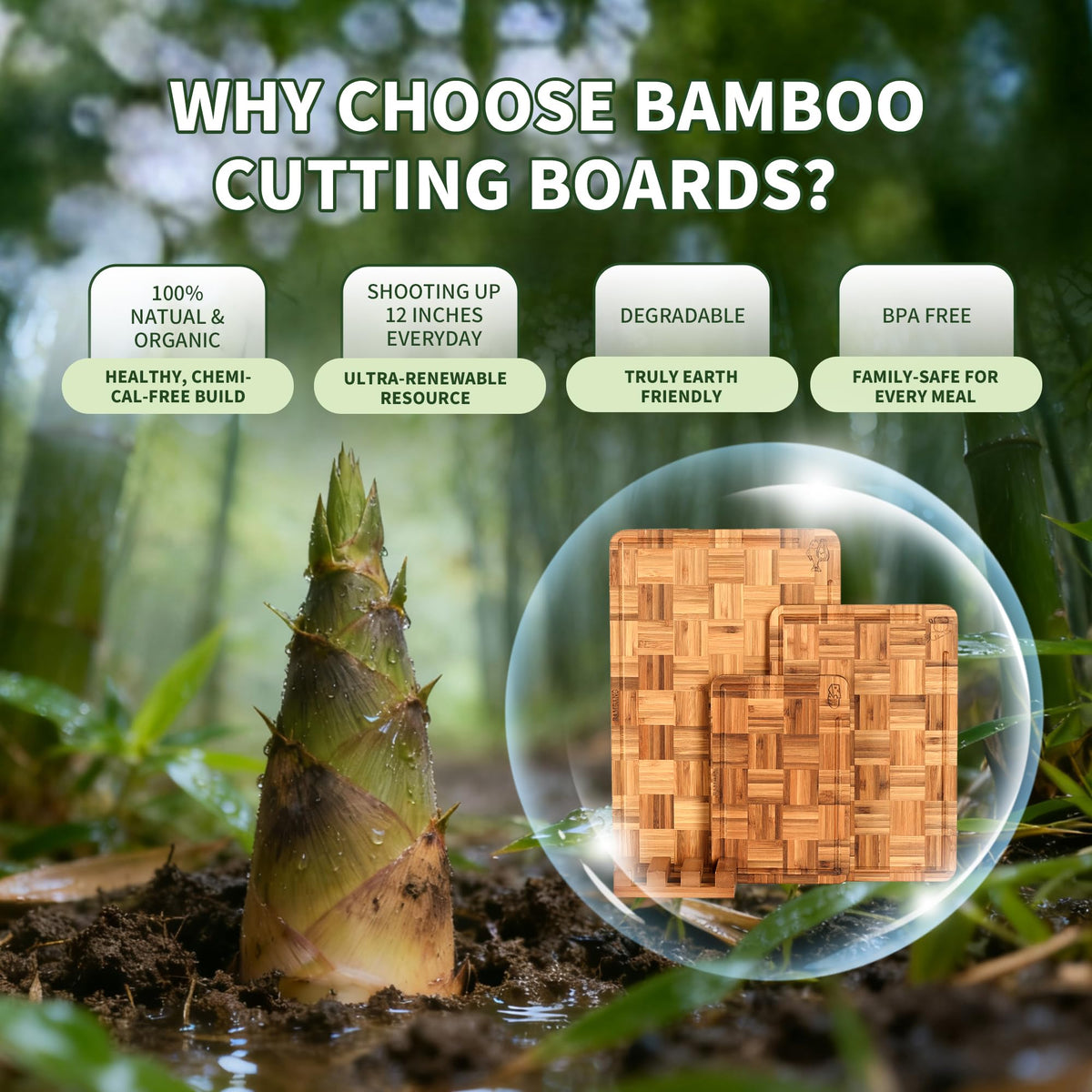 BAMBANG compact storage solution keeps boards accessible on the counter.