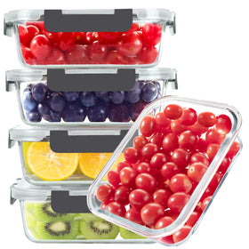 BAYZZ glass food storage container showing oven and microwave safe design for reheating