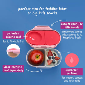 bbox snack box BPA and PFAS free for kid-safe lunches