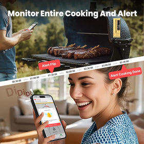 BBQOVN dual probes for testing two meat cuts.