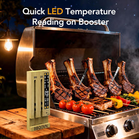 BBQOVN seven sensors reveal meat depth and ambient temperature.