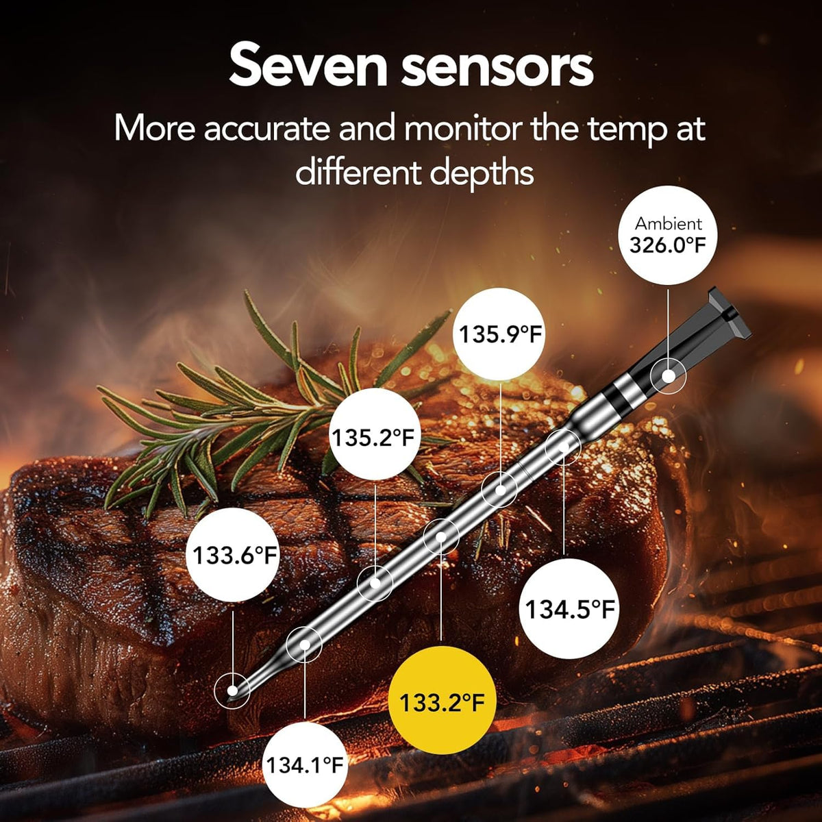 BBQOVN smart base with digital display for quick checks.