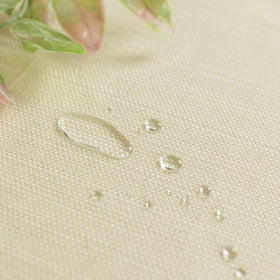 Benson Mills clear tablecloth over wood-grain surface shows through without hiding texture