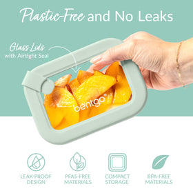 Bentgo plastic-free PFAS-free glass storage as a sustainable kitchen option.