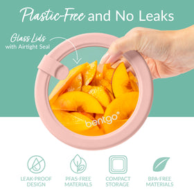 Bentgo Signature PFAS-free, plastic-free design reduces environmental footprint in daily meals.