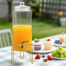 Betrome multi-use dispenser ideal for lemonade, juice, or iced coffee.