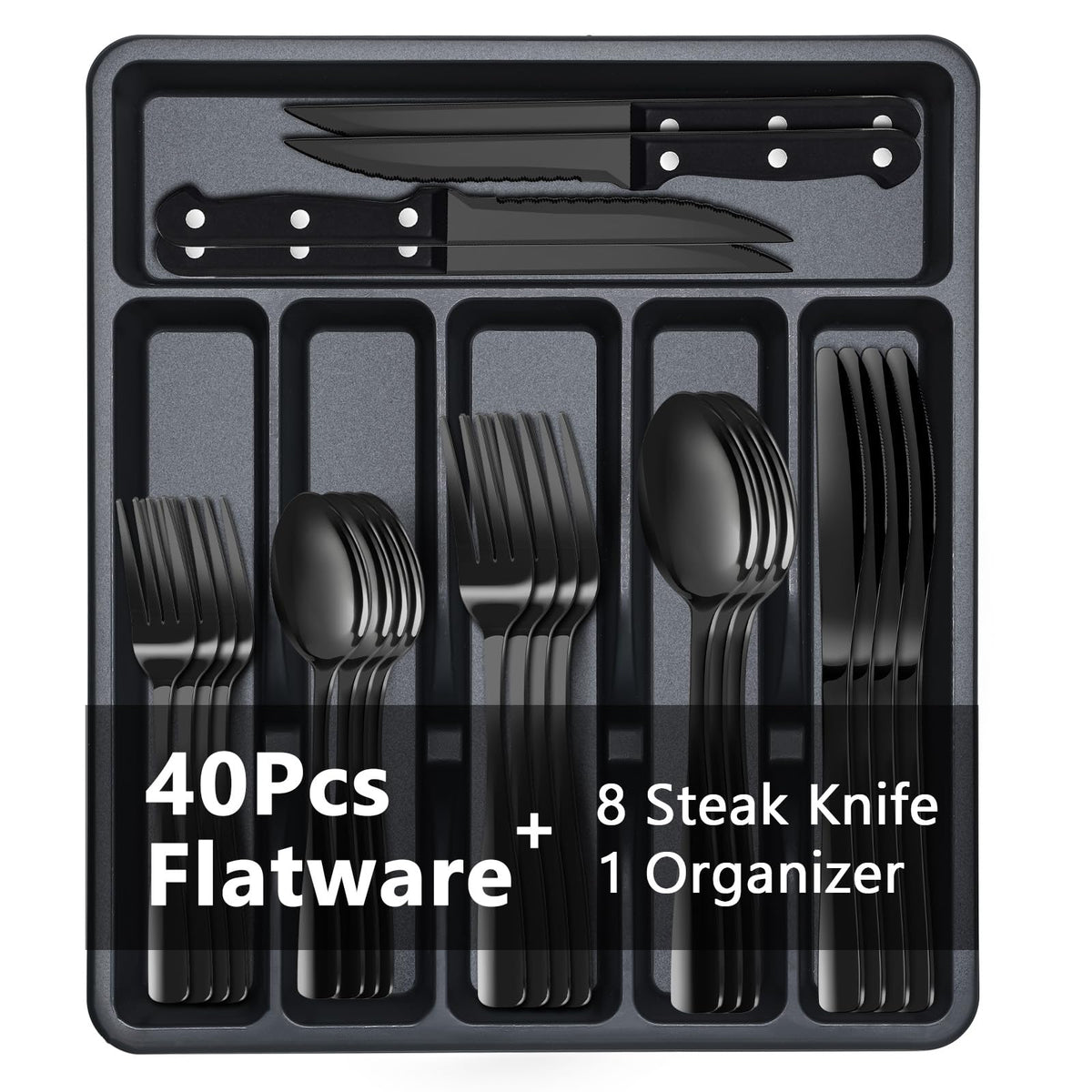 BEWOS 49-piece set organized in a compact organizer for easy daily use.