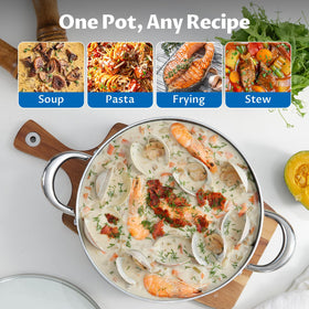 BEZIA 8qt induction compatibility image shows versatile stove use for any kitchen.