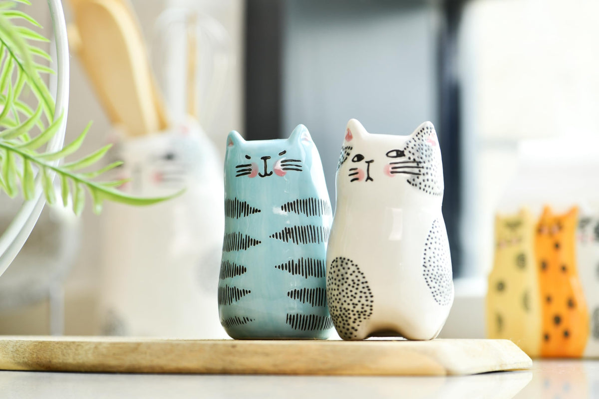 Bico gift box ready salt and pepper set ideal for a housewarming present