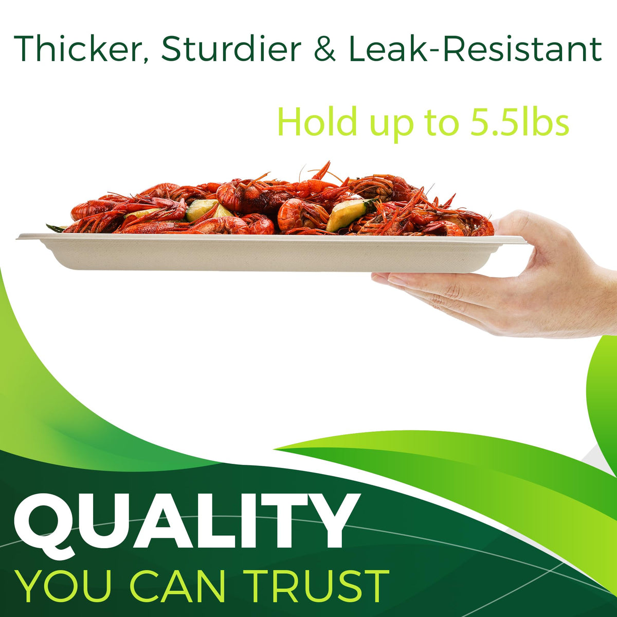 Birchio plant-based compostable tray free from BPA PFAS and wax.