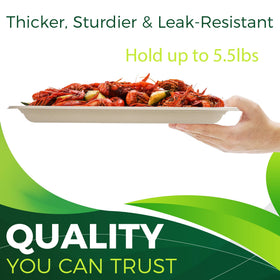 Birchio plant-based compostable tray free from BPA PFAS and wax.