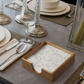 Bivvclaz napkin holder on kitchen counter keeps napkins neatly within reach.