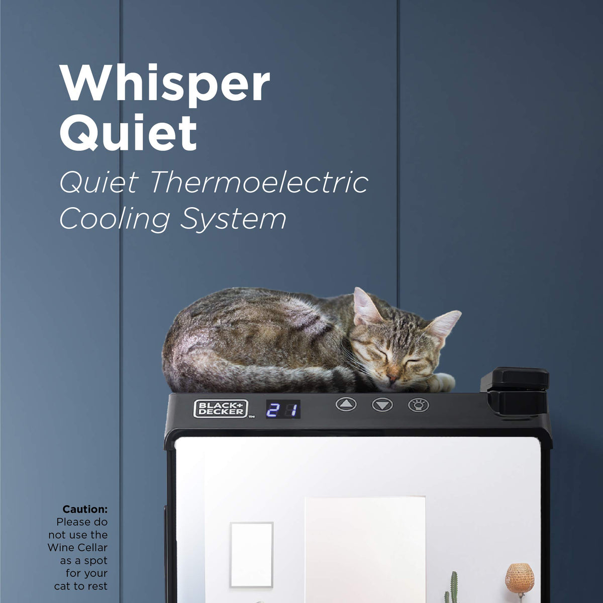 BLACK+DECKER thermoelectric cooling keeps wine at a steady temperature quietly