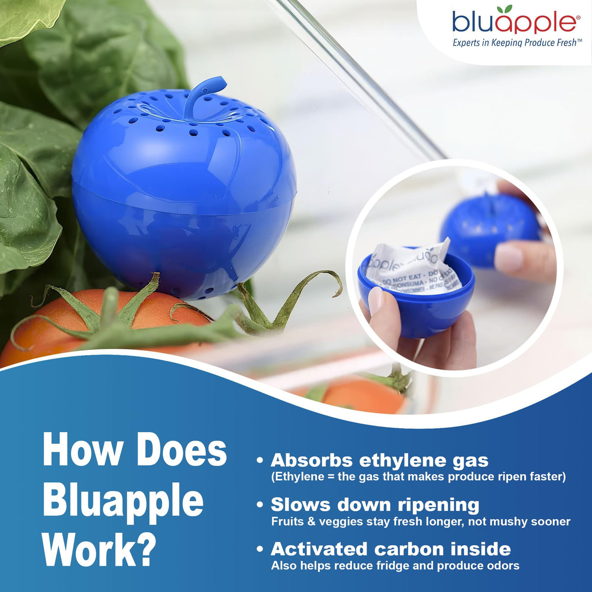 Bluapple being positioned on a refrigerator shelf for easy freshness management.