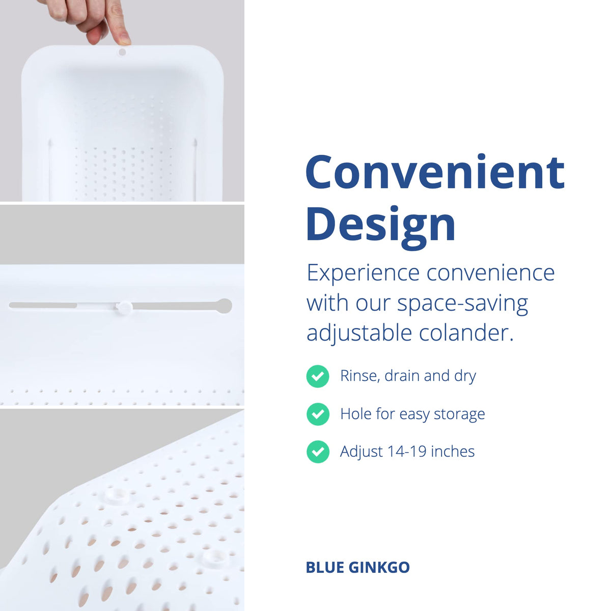 BLUE GINKGO BPA-free durable colander supports healthy meal prep