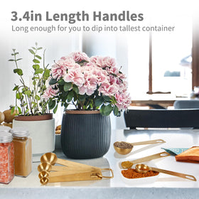 Blueden spoons ideal for wet and dry ingredient measurements