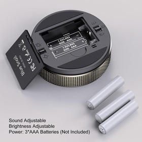 BlueSnail timer dial area showing quick time setting and start button.
