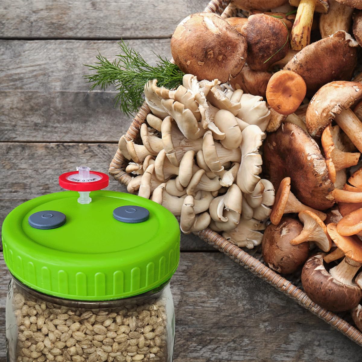Bluwtpoclan mushroom liquid culture lids optimized for reliable culture handling.