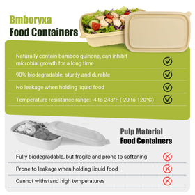 Bmboryxa dishwasher-safe containers on top rack for easy cleaning