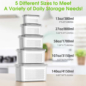Boichu berry containers for fridge in 5 sizes for flexible storage
