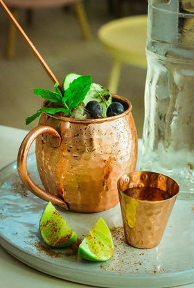 Bold and Divine copper straws and shot glass complement the set.