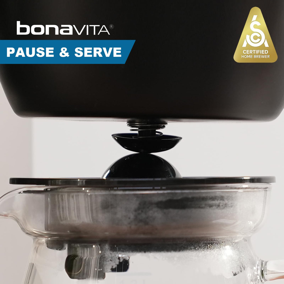 Bonavita Enthusiast wide showerhead delivers even extraction for balanced brews.