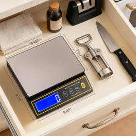 Bonvoisin baking scale durable stainless steel platter and sturdy shell.