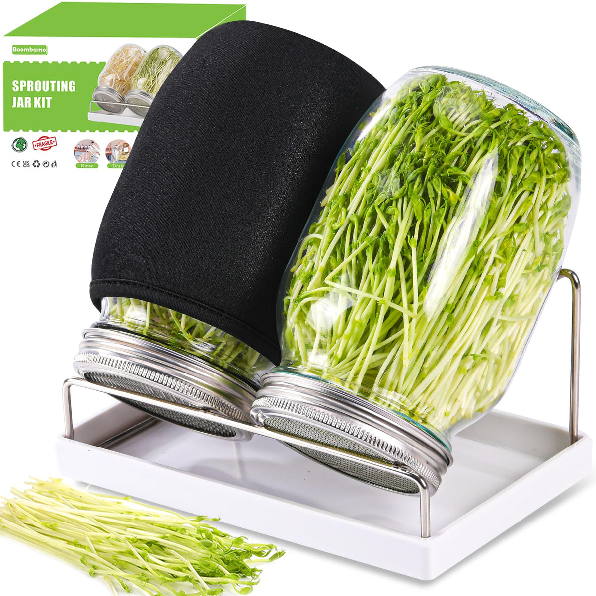 Boombamo sprouting kit in-use demo for easy setup.