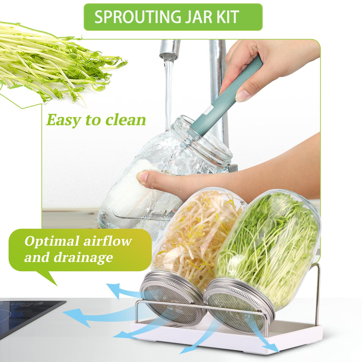Boombamo sprouting tray collecting drainage to keep counters tidy.