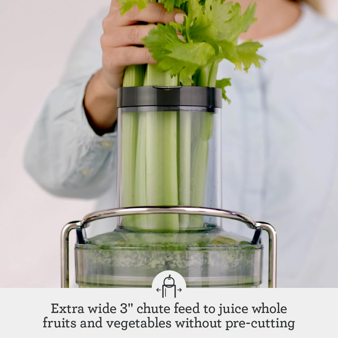 Breville Juice Fountain Cold precision mesh filter preserves juice quality