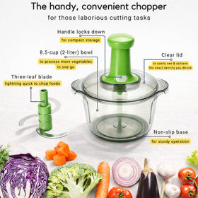 Brieftons Express BPA-free construction for safe kitchen use.