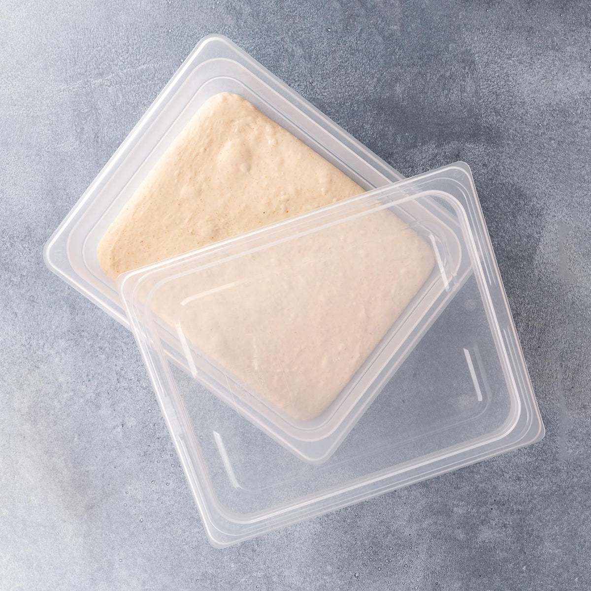 Brod & Taylor container translucent walls show dough rise without opening the lid.