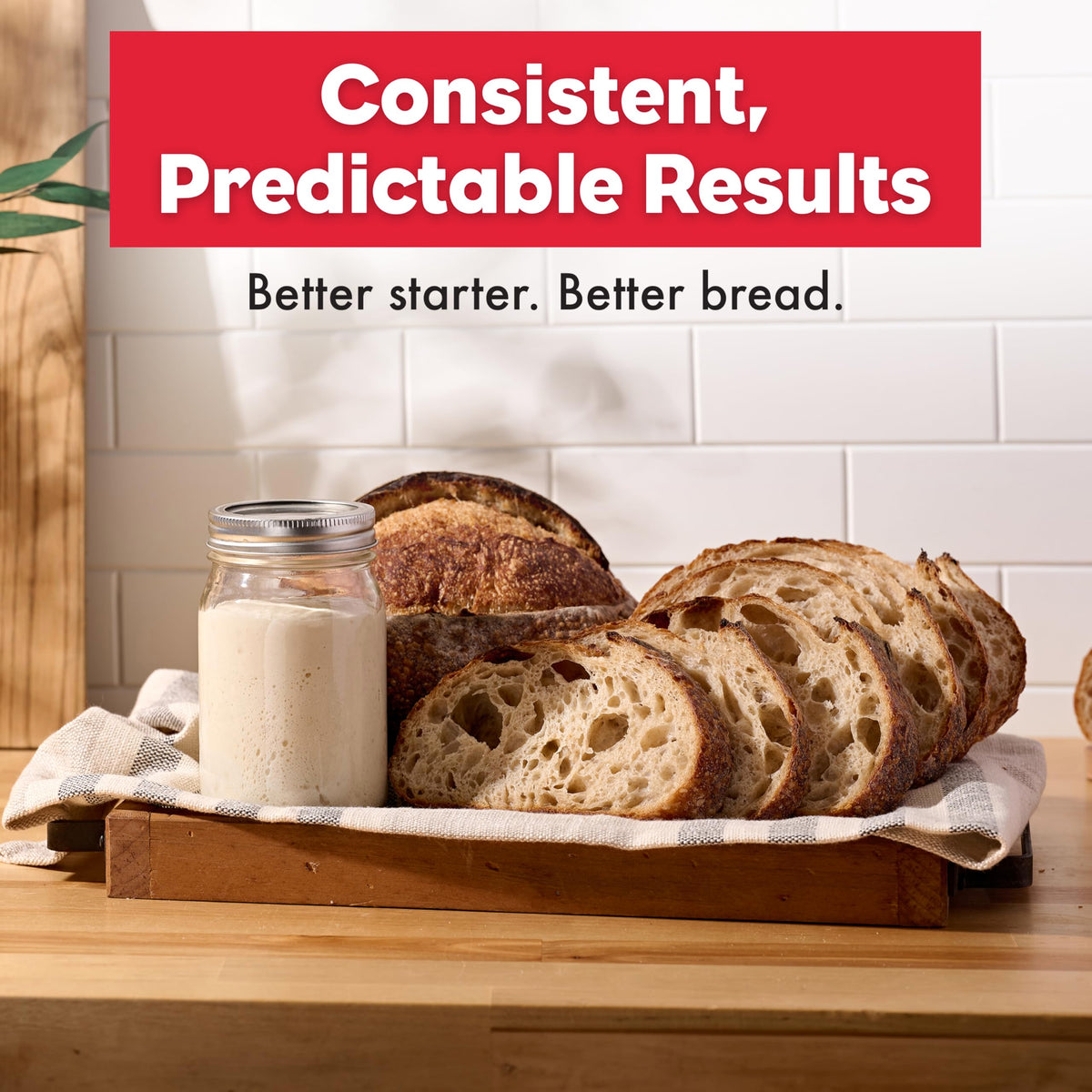 Brod & Taylor Sourdough Home space saving design fits small kitchens.