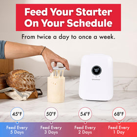 Brod & Taylor starter jar dark ring rise progress indicator on jar