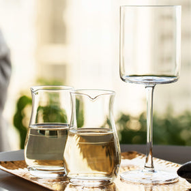 BTaT wine decanter set-of-2 shows a compact two-piece service for tastings.