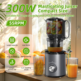 Budsom slow-masticating juicer at 55rpm preserves nutrients