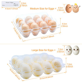 BULKBUY clear plastic egg carton shows eggs at a glance.