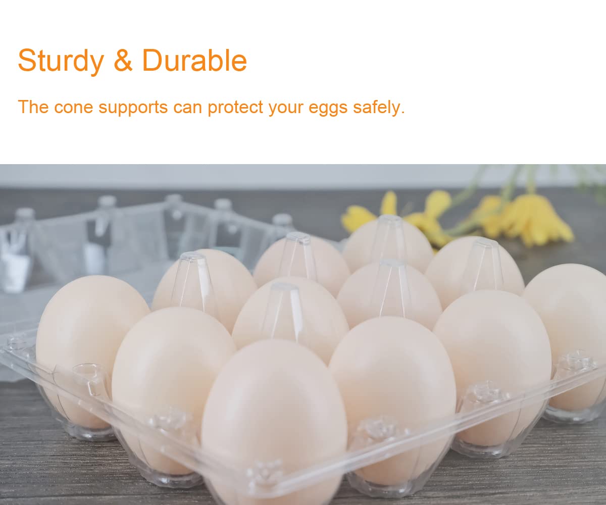 BULKBUY medium egg cartons hold up to 12 eggs.