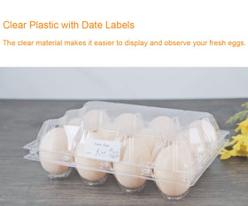 BULKBUY recyclable PET egg cartons for eco-friendly use.