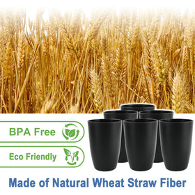 BUSOKIP wheat straw cup set; 20oz capacity, easy grip.