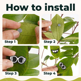 Camtoms easy attachment magnets secure without damaging leaves