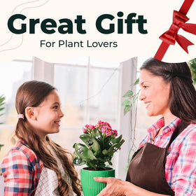 Camtoms indoor plant gift ideas magnets make thoughtful, easy presents